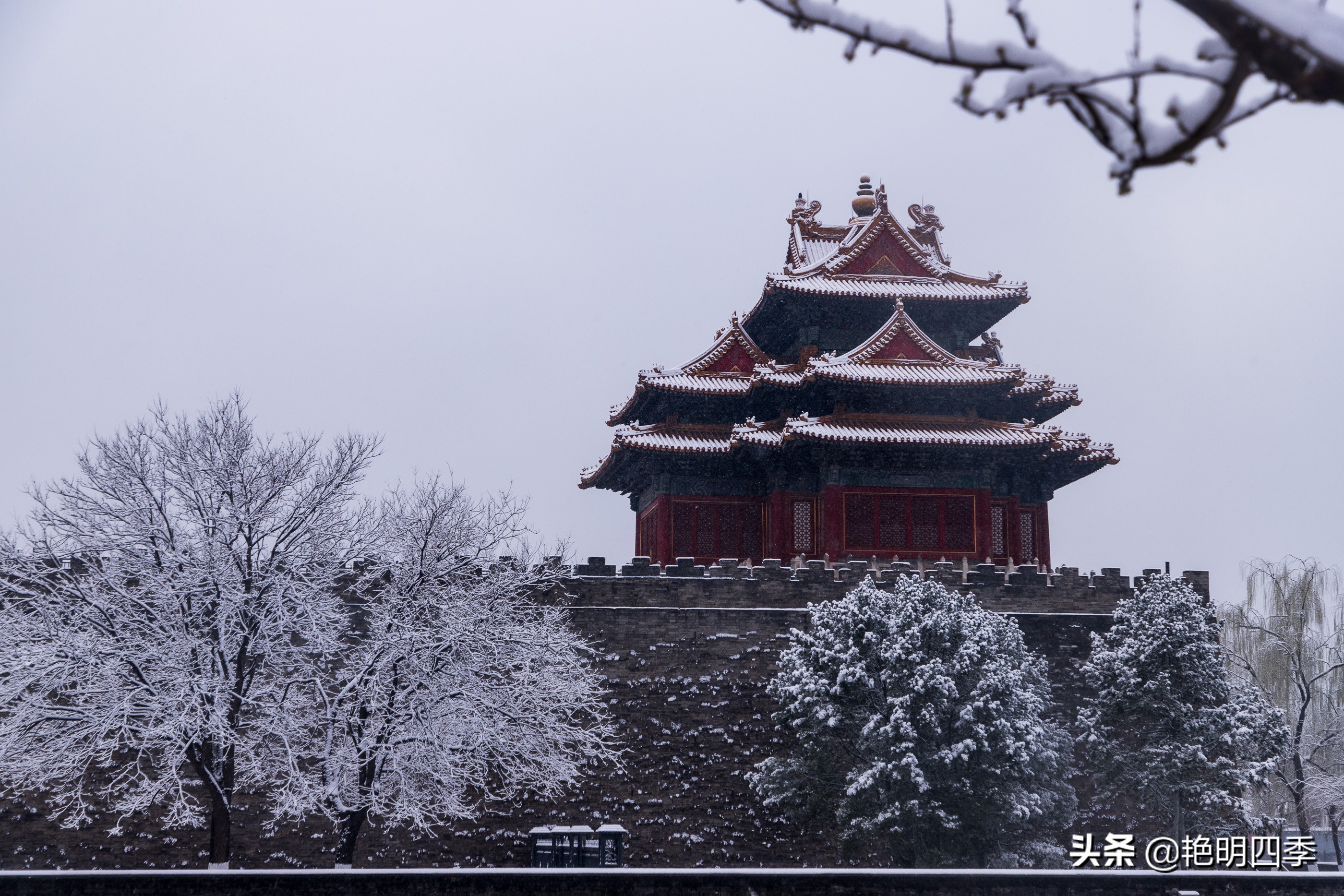 春天里，在紫禁城看一场大雪，与冬天做一个郑重的告别