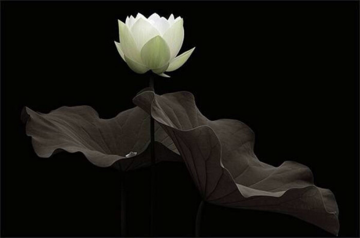 读《论语》有感：做个言之有物的职场成年人，不做“伸手党”