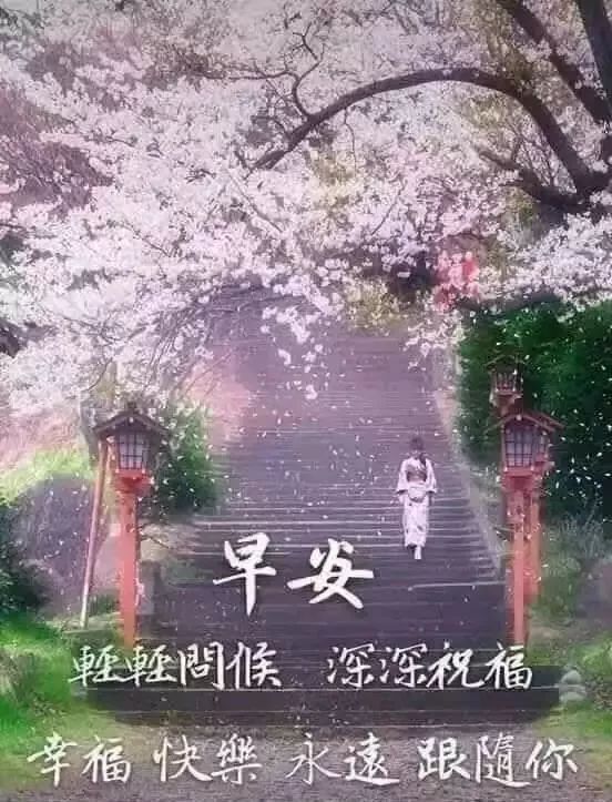 周六早上好朋友，收拾一下心情，祝福你新的一天好的心情图片