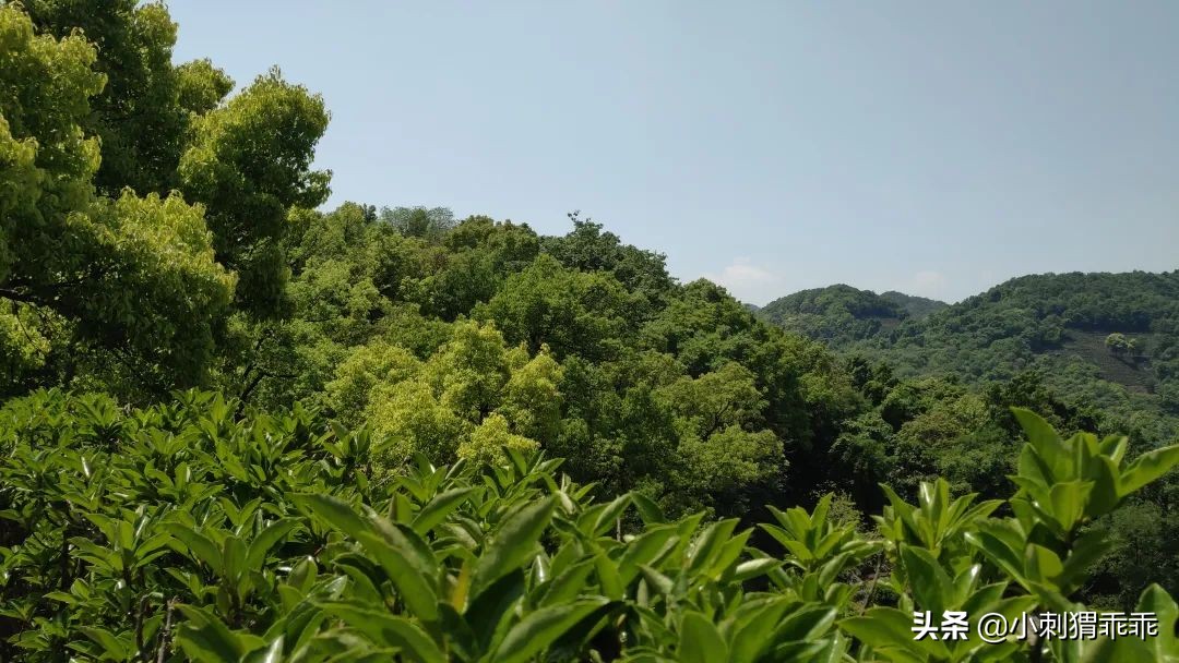 「我说我的」恨铁不成钢