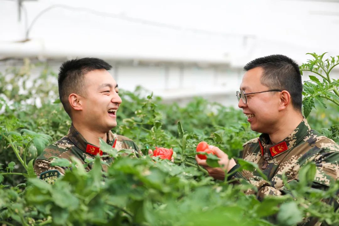 侯<a href=http://www.cngansu.cn/news/ target=_blank class=infotextkey></a>ܶӸ֧ӣ˭˵ԭ