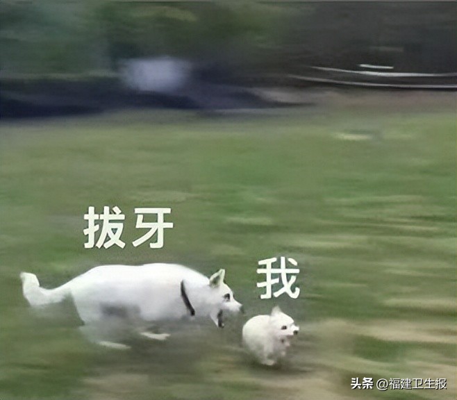 福州女子拔智齿用了3倍麻药后竟无效？麻醉科医生说出真相