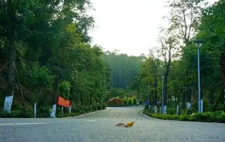 广州十大免费特色景点推荐：畅游羊城必去的9个免费打卡地
