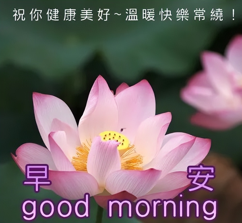 朋友圈早上好祝福图片 做一个微笑挂在嘴边 快乐放在心上的人图片