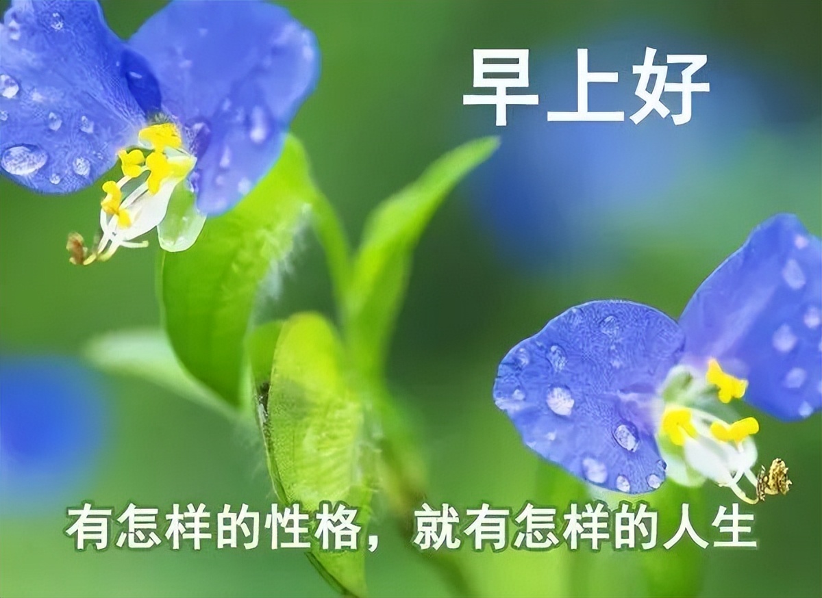 周六早上好祝福问候语句子大全 祝你福气满满、幸福快乐图片