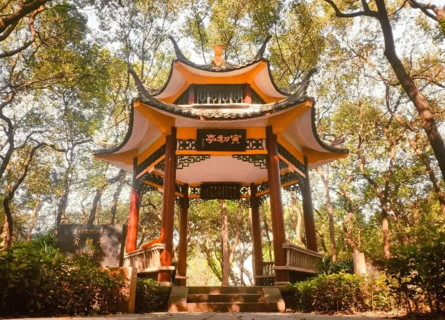 重庆工商大学是小211吗（重庆本地一本）