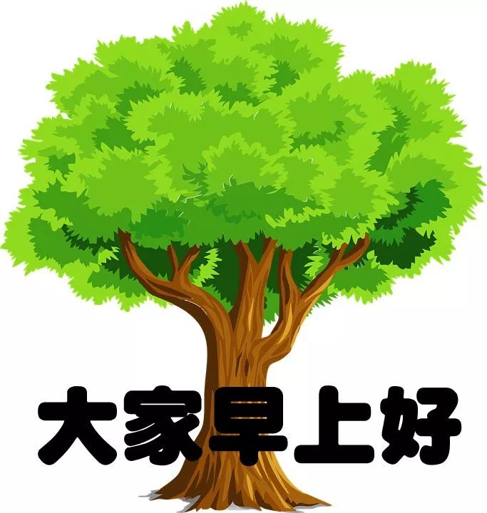 微信早上好阳光暖心语录 朋友圈早上好心情说说正能量 一切都美好图片