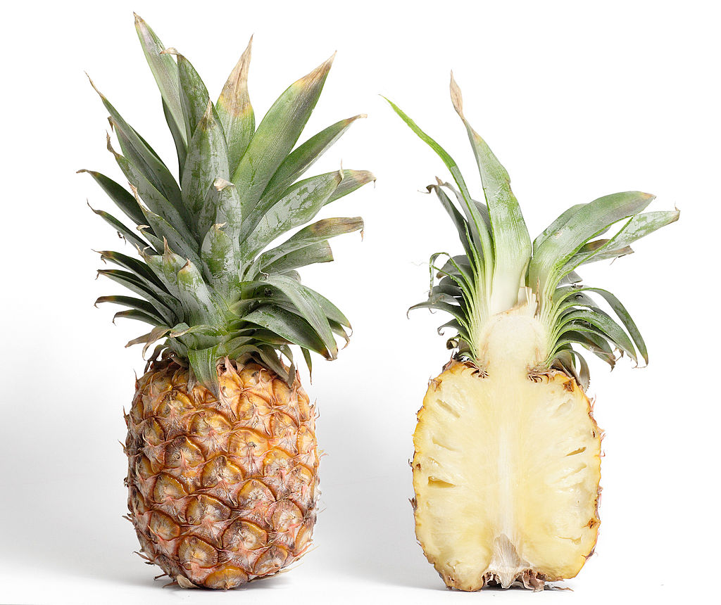 一株菠萝一生只能结一次果，46个月一个周期，为什么卖得却不贵？