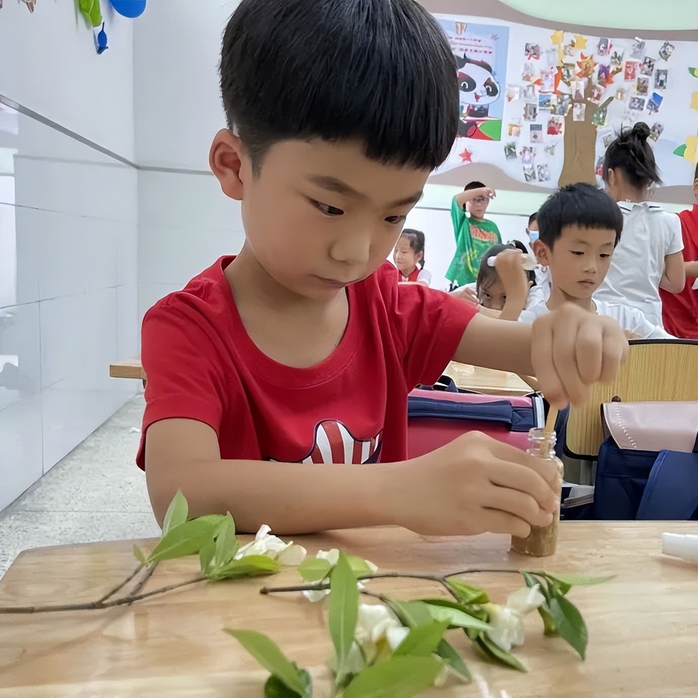 节气深耕.芒种节气｜成都高新区朝阳小学开展丰富多彩的节气活动