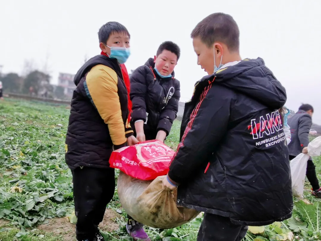 「城南小学•德育工作」小基地大收获 劳动实践快乐多