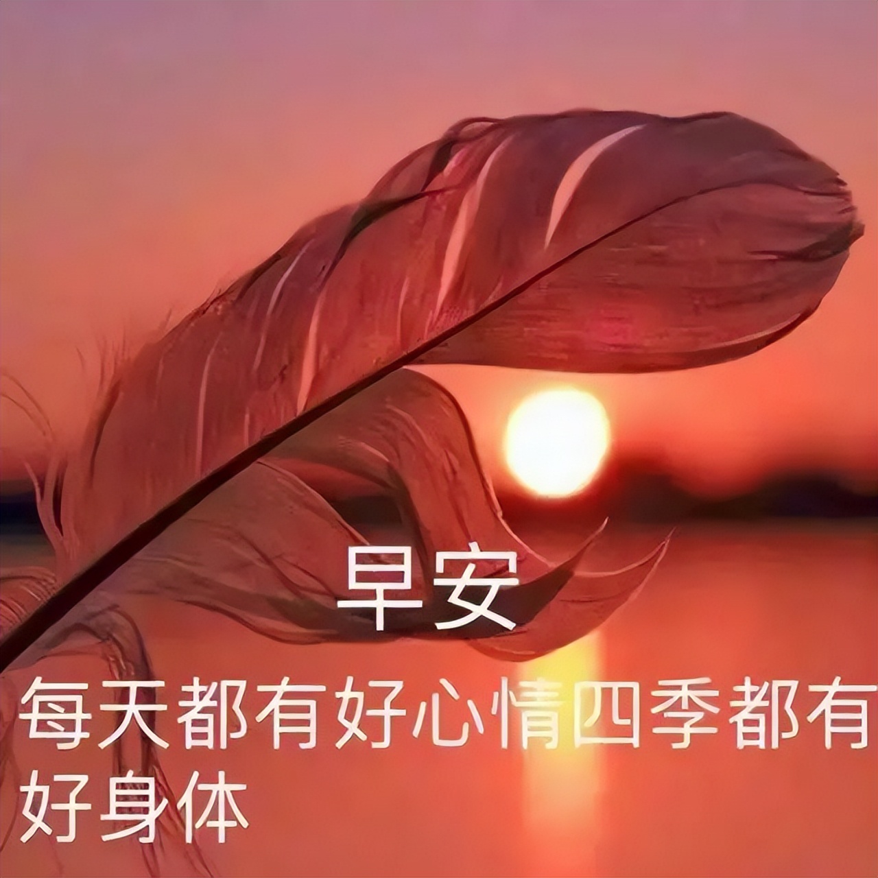 微信早安问候朋友的温馨语录 晨起一声早，事事皆美好图片