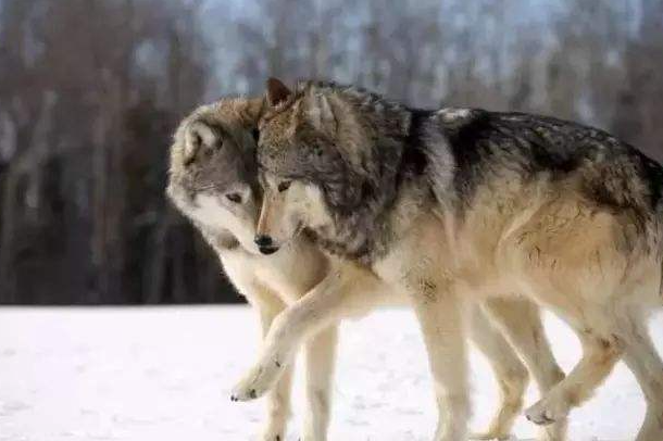 �ڱ߾�����һȺ������ͬսʿ��һ������ͬ��������İ���