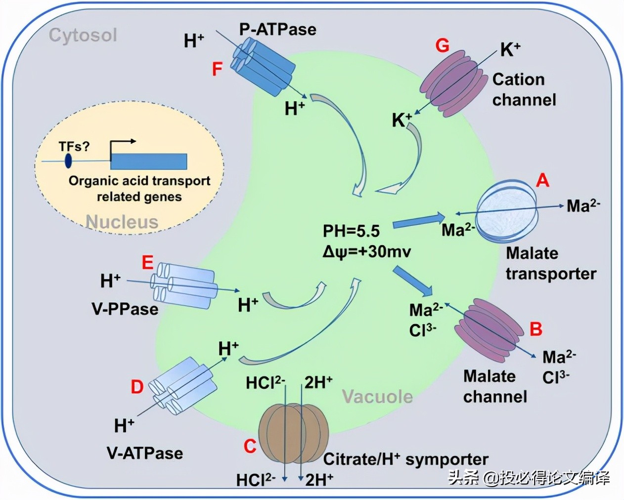 喜讯！又一篇中科院1区仅2个月发表，盘点国内高校主办的SCI期刊