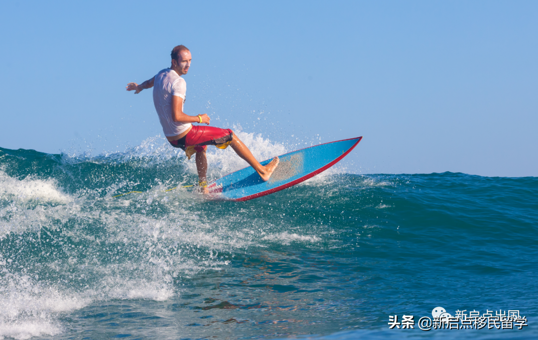 爱尔兰移民生活之娱乐篇（二）