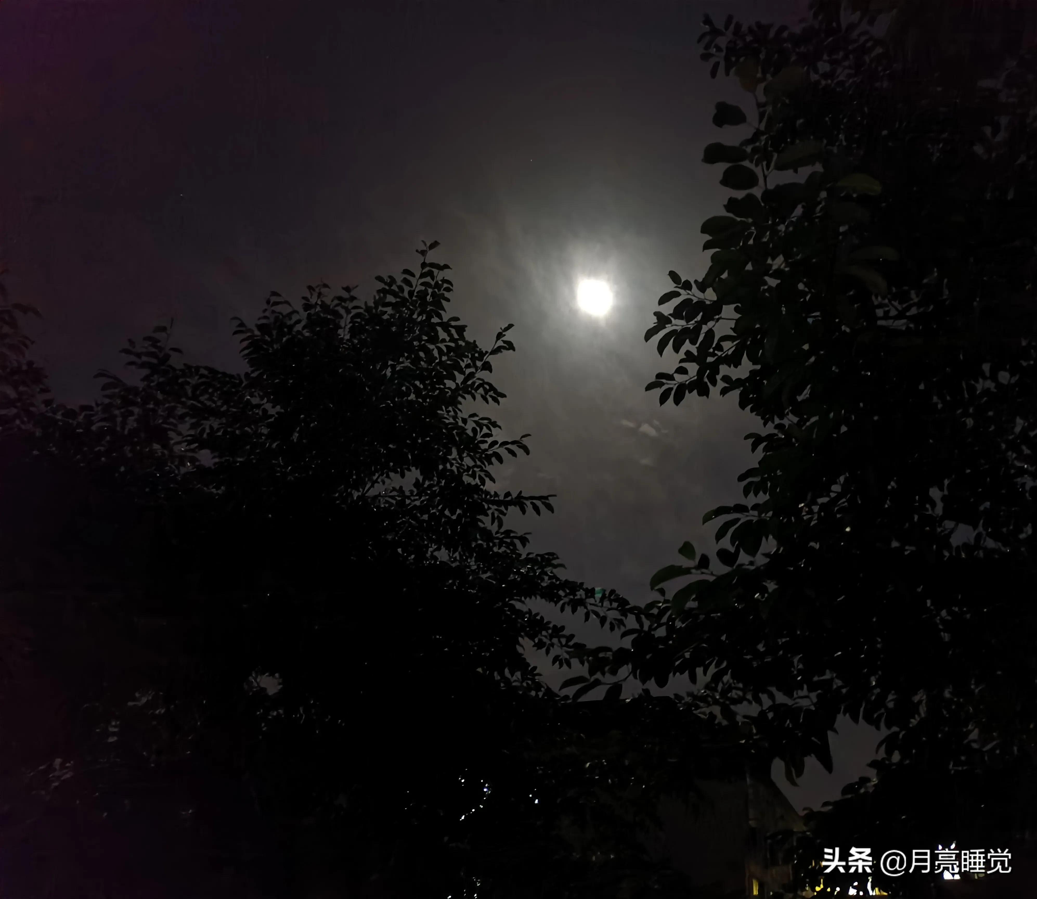 写夜晚夜空上的月亮优美句子关于月亮浪漫文案短句