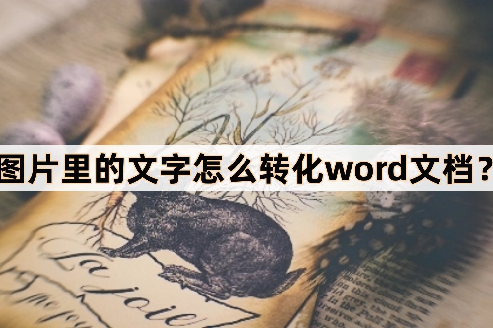 图片里的文字怎么转化word文档(word怎么图片改文字)