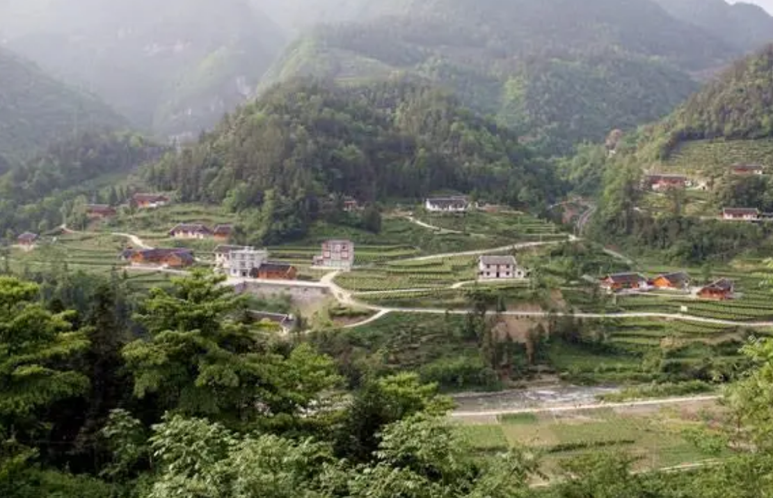 2003年，湖北一信用社老会计毒害8人，日记本上还写着15个仇人