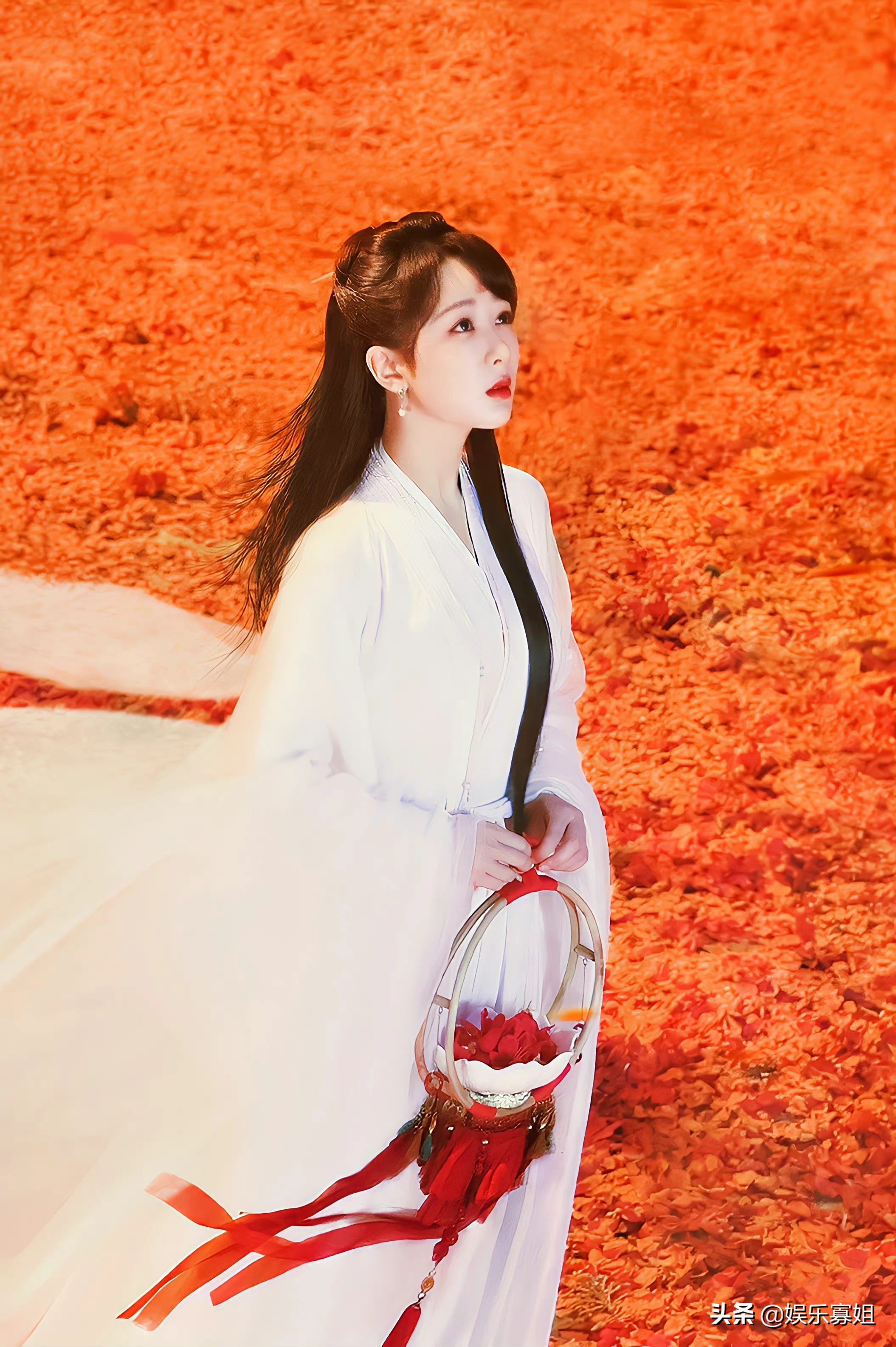 杨紫11岁拍《家有儿女》前使用的简历和照片曝光，不愧是童星出身