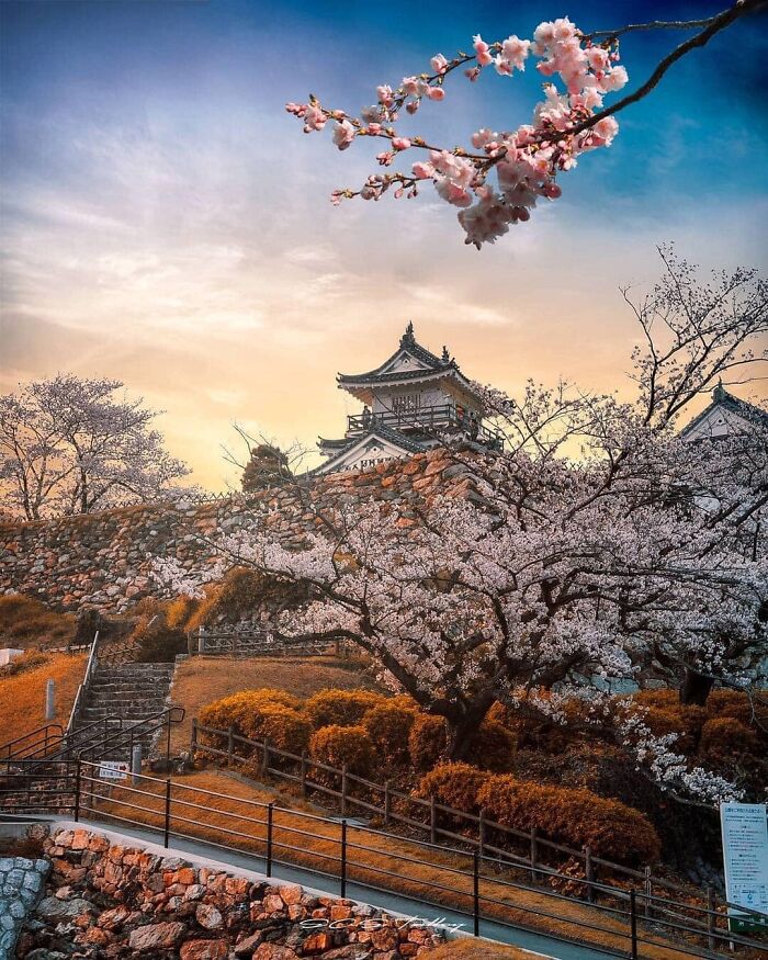 世界上35个神奇美丽的地方,你可能从未见过,能在这里一天也好