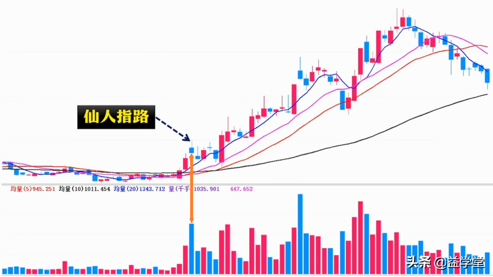 学会这招仙人指路，你的股票离盈利就不远了！小白股民更要看