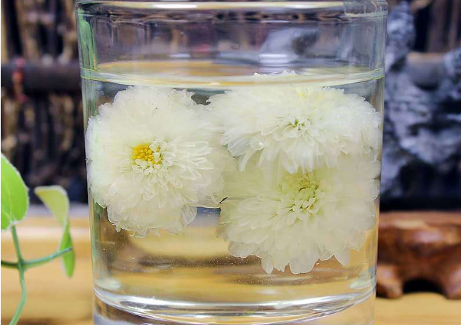 夏日菊花茶推荐（常饮3款菊花茶清凉又解暑）