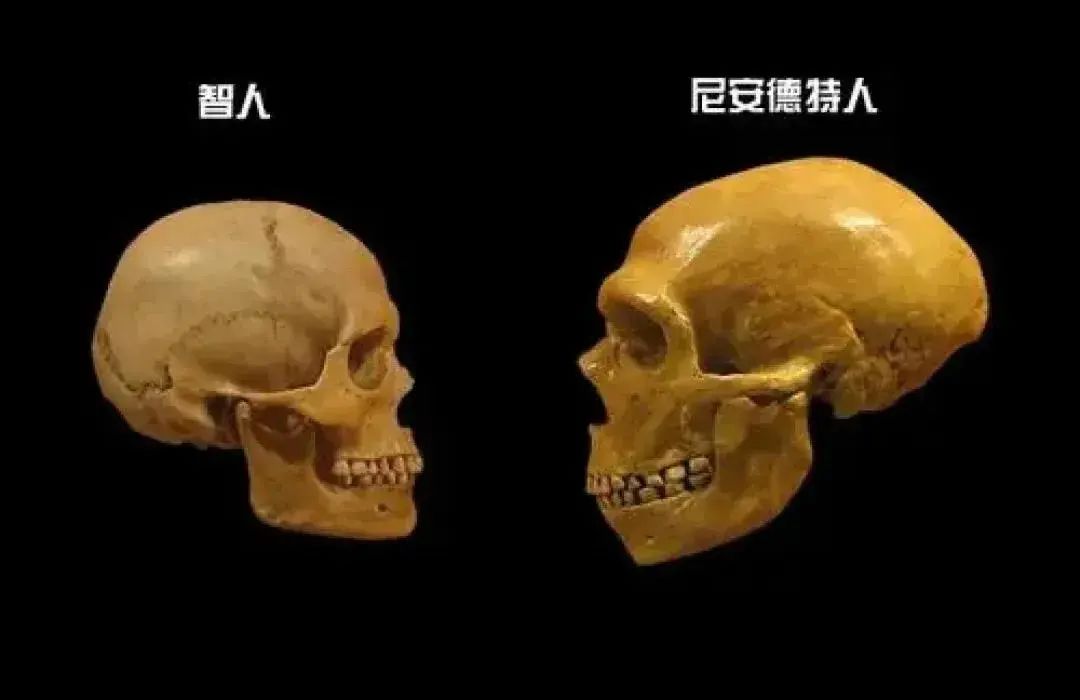 长文彻底说清楚：未来也不可能有“基因武器”（建议收藏）