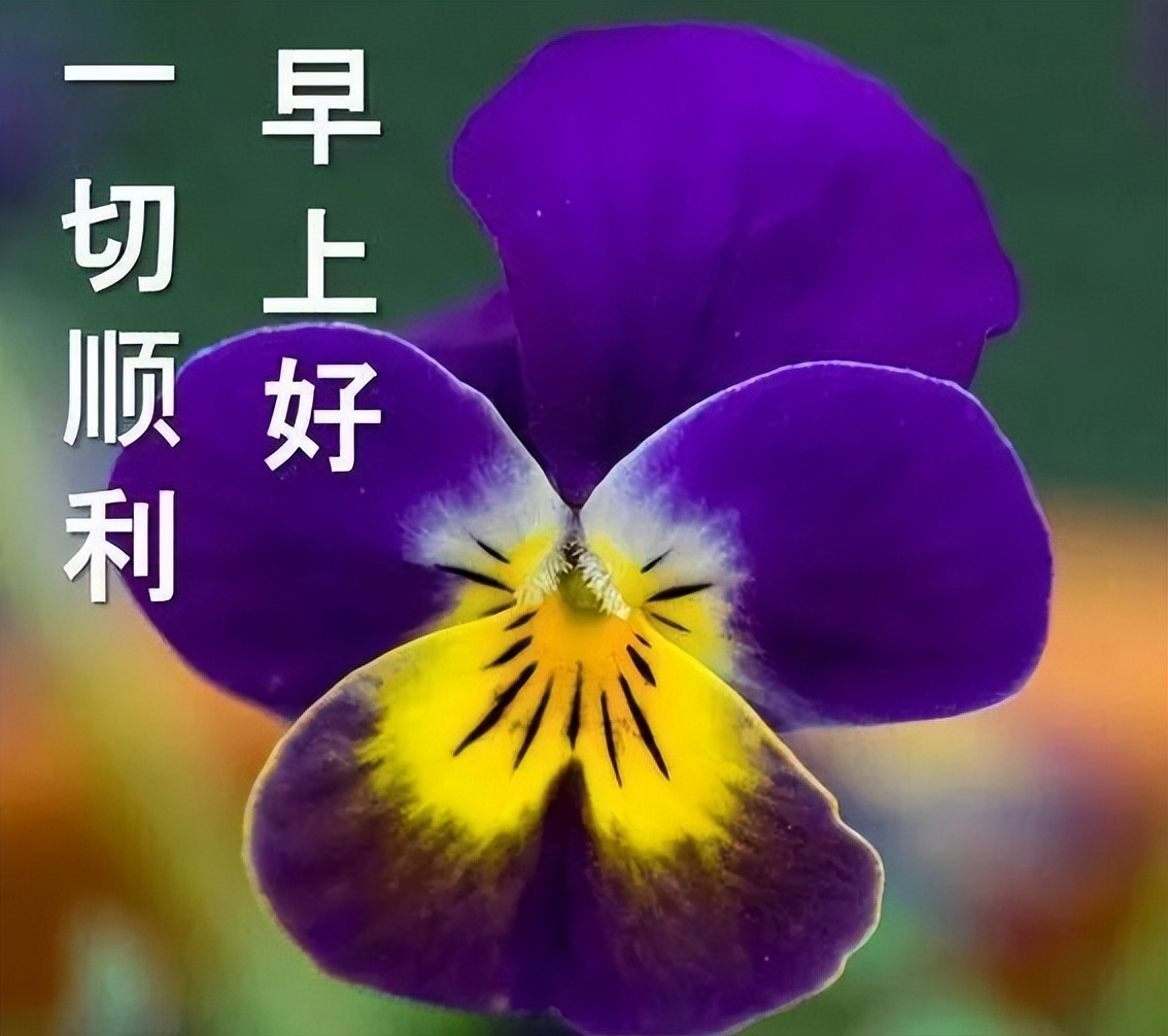 微信早安表情包大全 快乐永不老，健康才是宝，善待自己，保持微笑图片