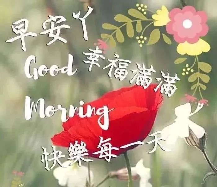 微信早上好说说 清晨走心的早上好问候 健康是人生最大的财富图片