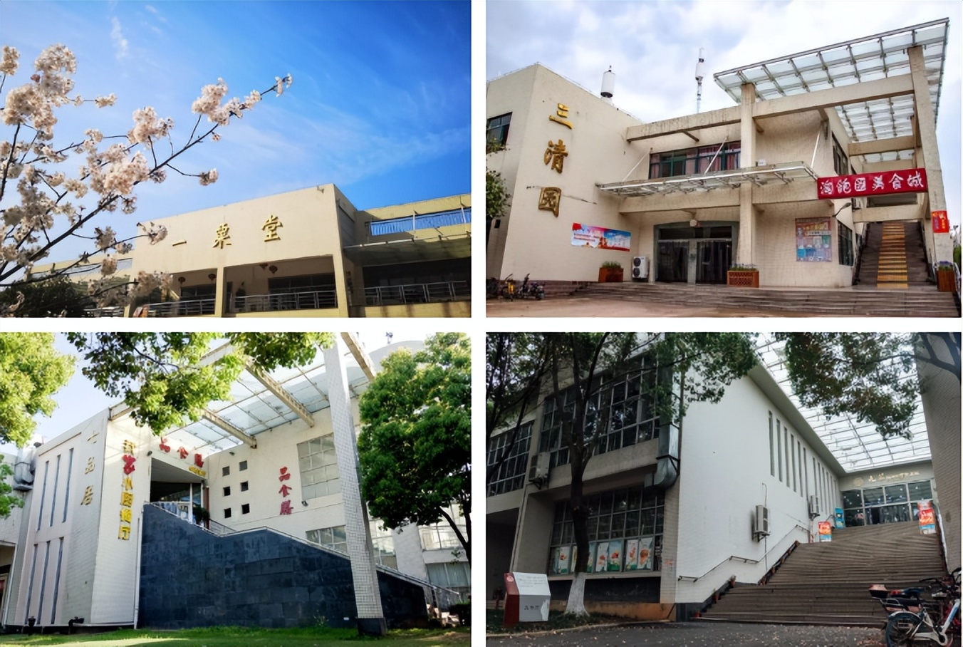 全国最美50所高校之一！位于湖北，占地2192亩，还是影视剧取景地，校园绝美！