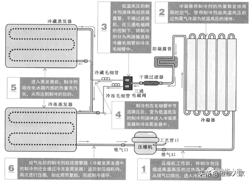 图解电冰箱的制冷原理