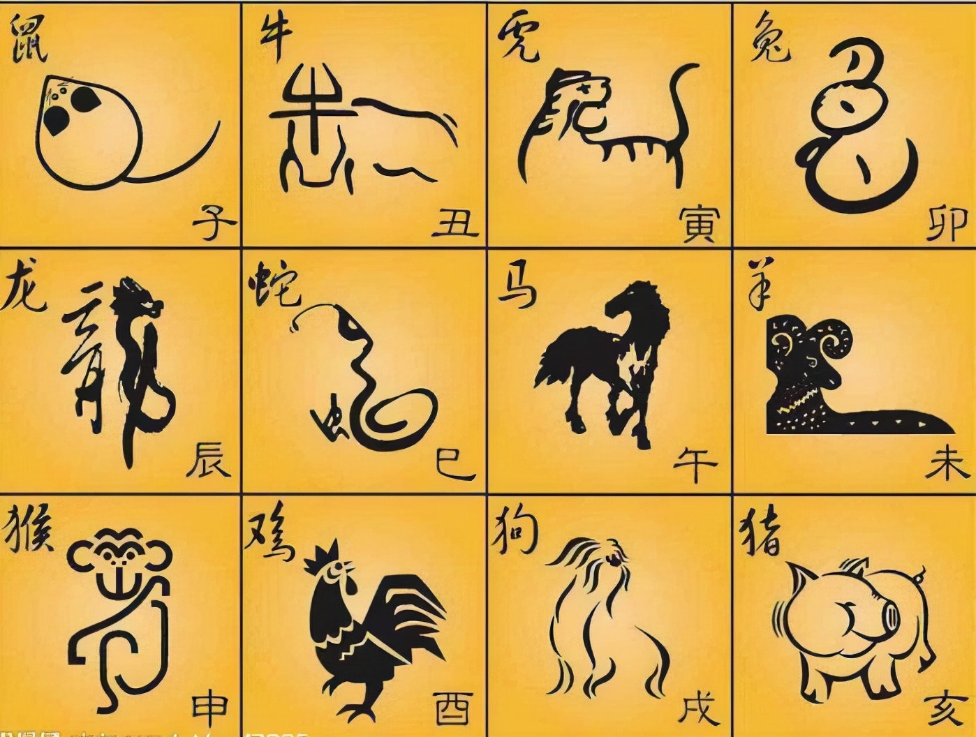 十二生肖是怎么来的?属相的秘密