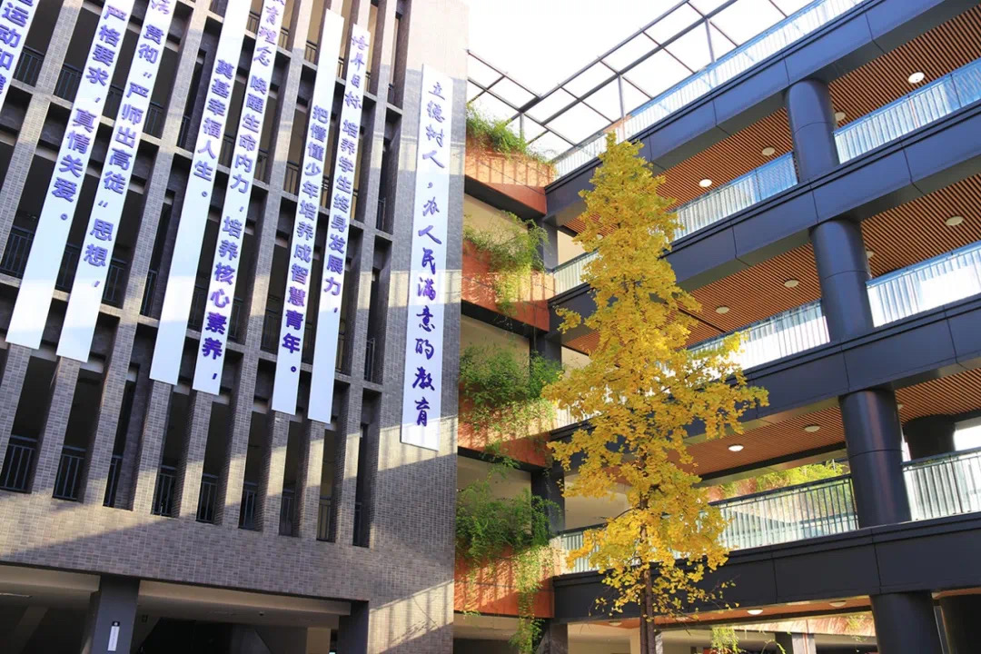 岁末年初“数说”教育，成都实外五龙山夯实基础展望新年