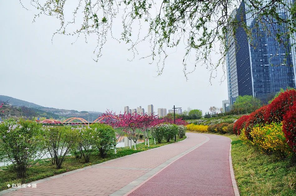 疫情挡不住春天的脚步，小编带你去看古城秦州的春暖花开