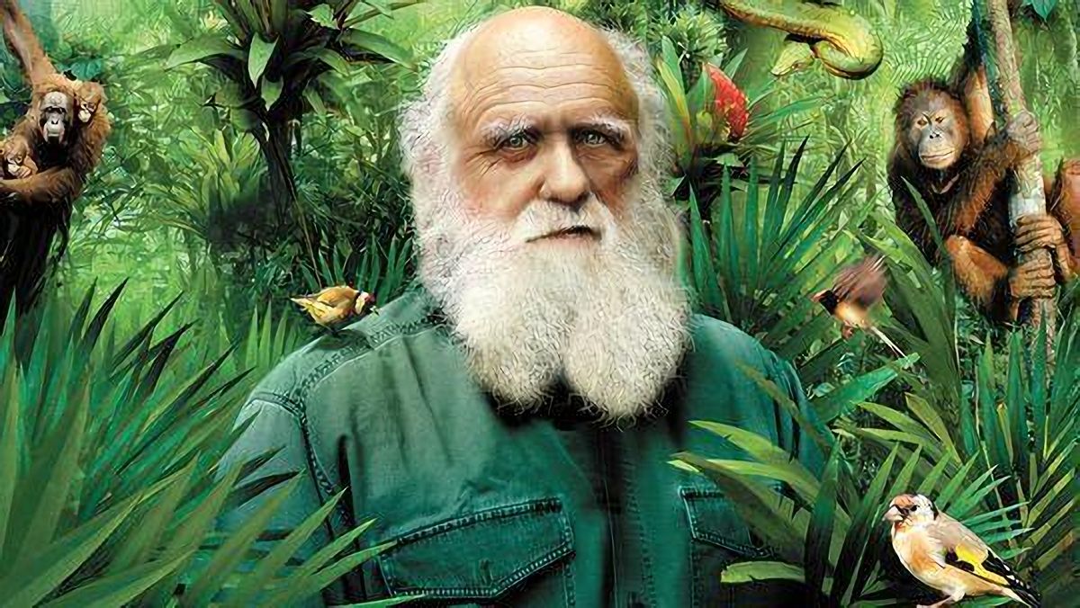 男性进化出胡须，是用来干嘛的？达尔文直到死前也没搞明白为什么