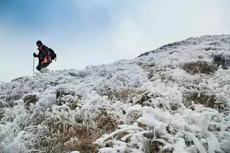 2022萌新必备攻略 | 带你畅游广州华立科技职业学院云浮校区