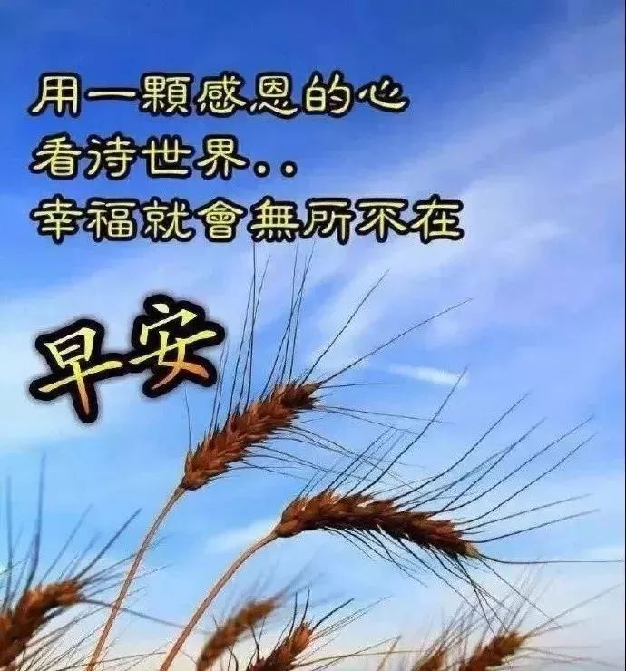 漂亮的早上好图片 简短早安问候语 身体健康、精神快乐图片
