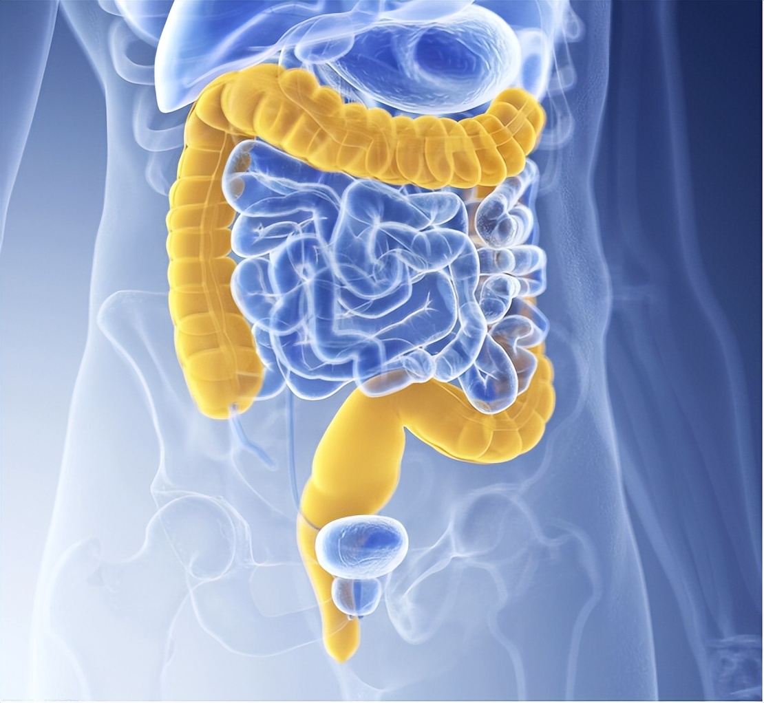 人体内有6公斤宿便?怎么才能排出"赖着不走"的粪便?