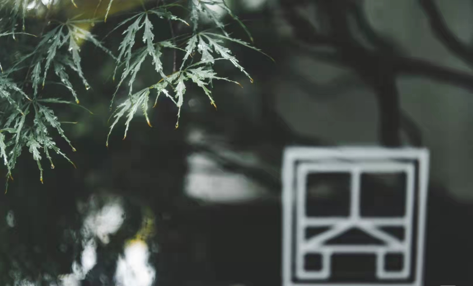 每次一下雨，就想离开苏州