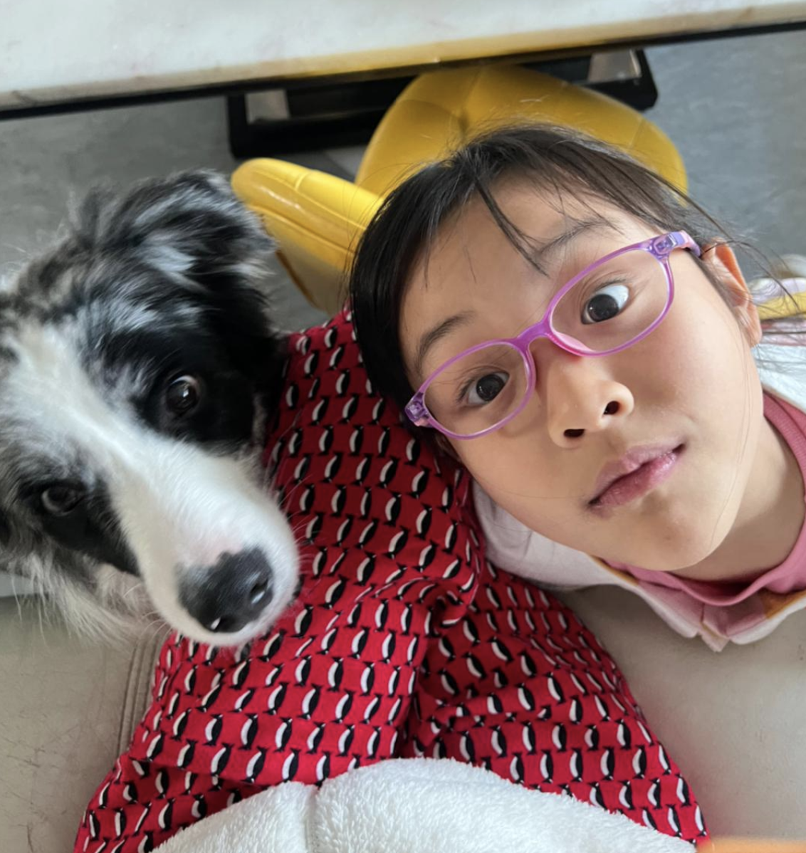 李小璐晒女儿假期生活，甜馨与宠物狗一起卖萌，上小学已经近视