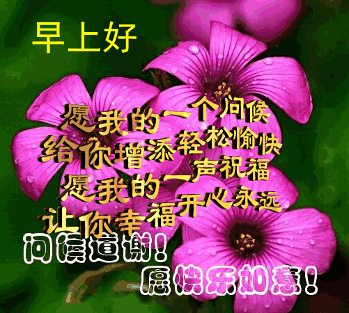 2022最新早上好短信温馨祝福语录集锦 笑着去面对，不要去埋怨图片