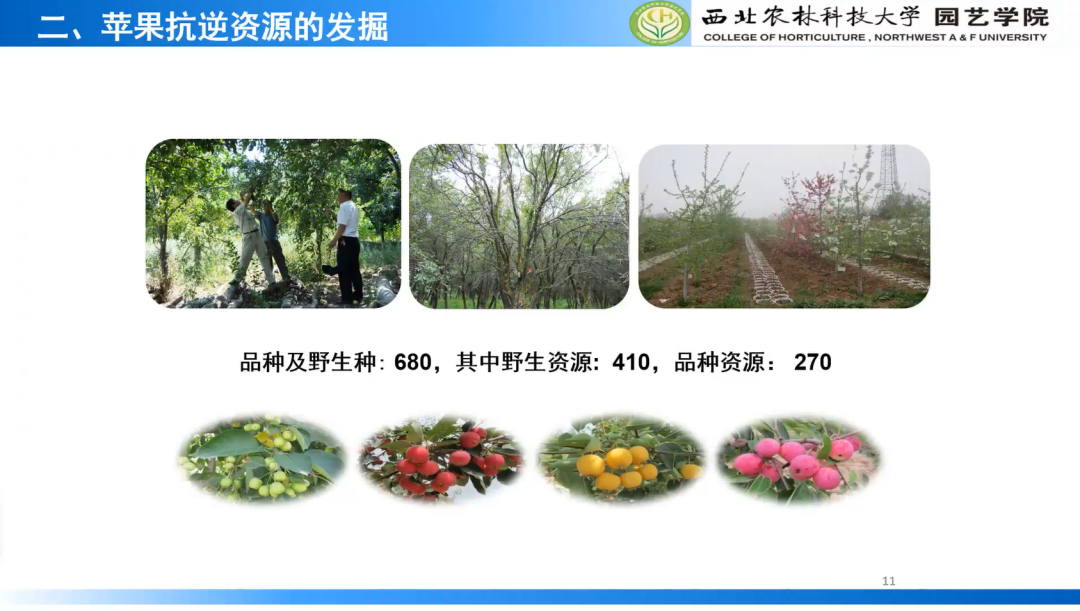 园艺科学前沿与产业发展名家论坛在我校成功举办