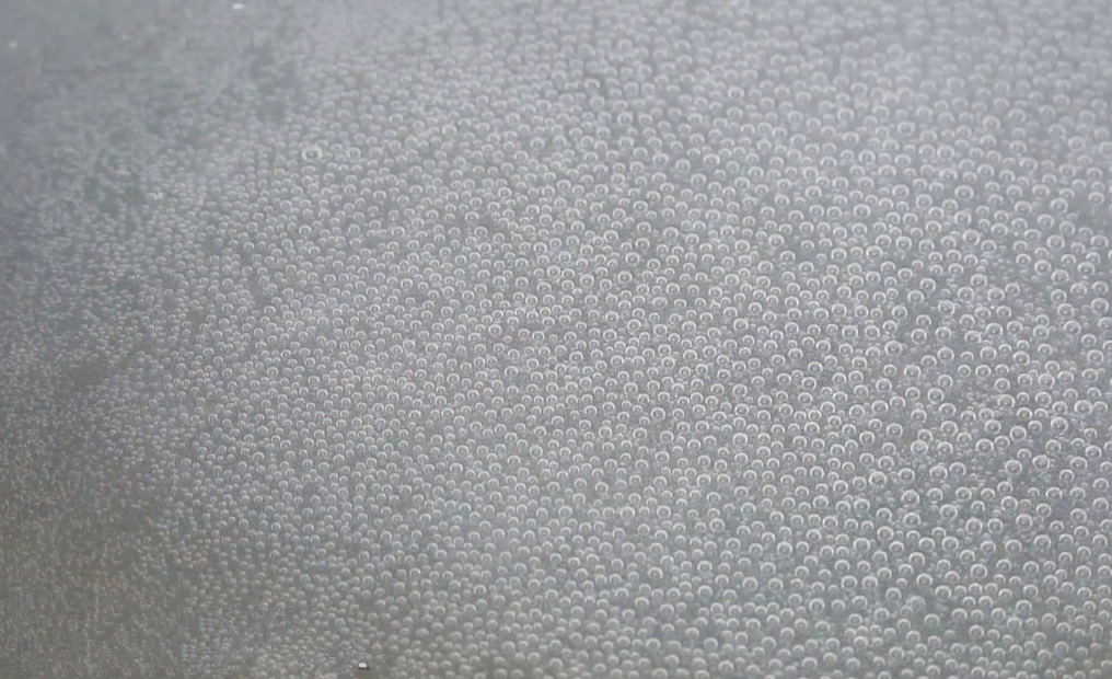煮荷包蛋时，切记不要直接下锅煮，教你1招，个个完整圆润不散花
