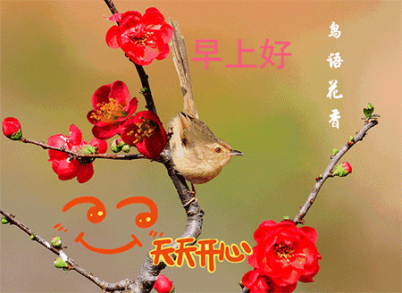 今天早安祝福语，新的一天早上好问候语，天虽然冷，问候却很温暖图片
