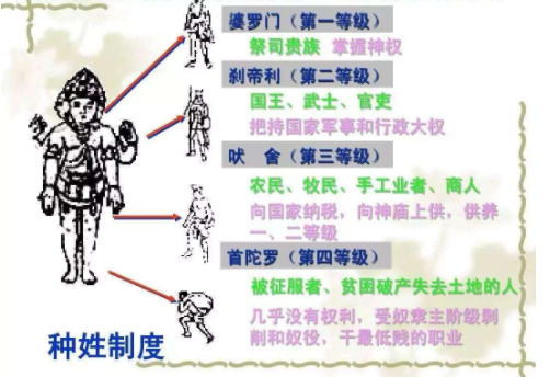 印度是粮食大国，耕地量也是中国的两倍，为何还有大量人民被饿死