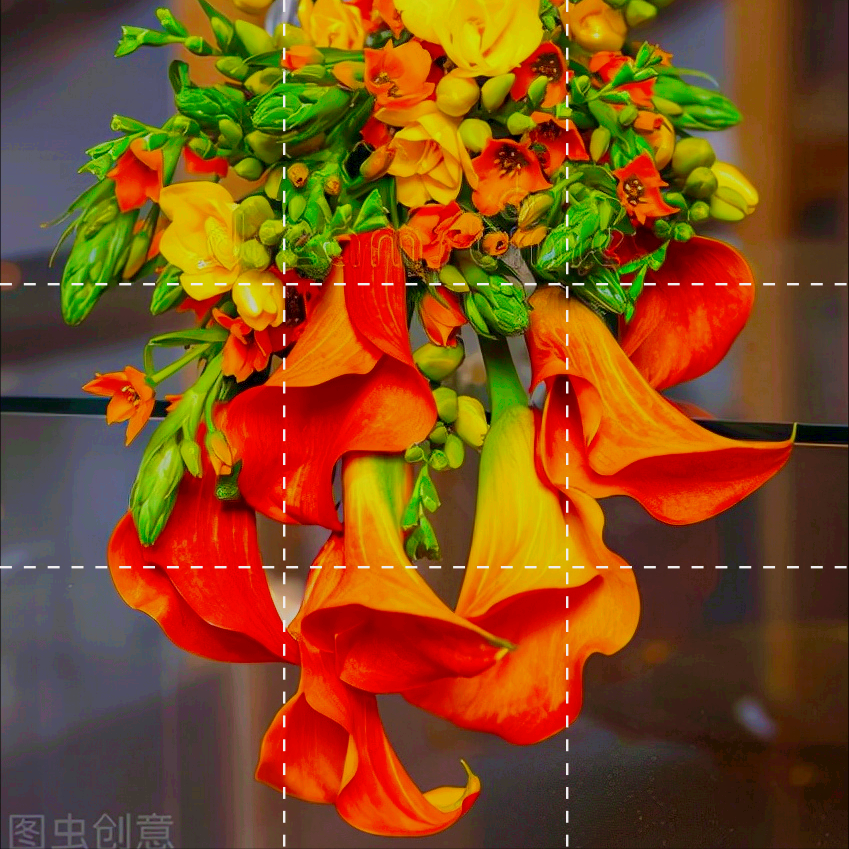 一花一世界，一念花开浪漫，一念岁月沉香，愿时光不老，真情永在