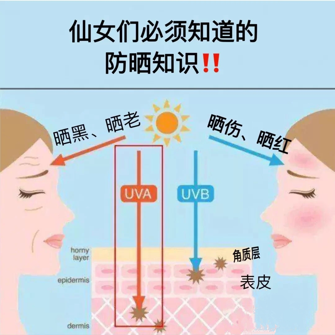 紫外线不但会破坏角质层本身,加快水分流失,刺激皮肤,更可以轻易穿透