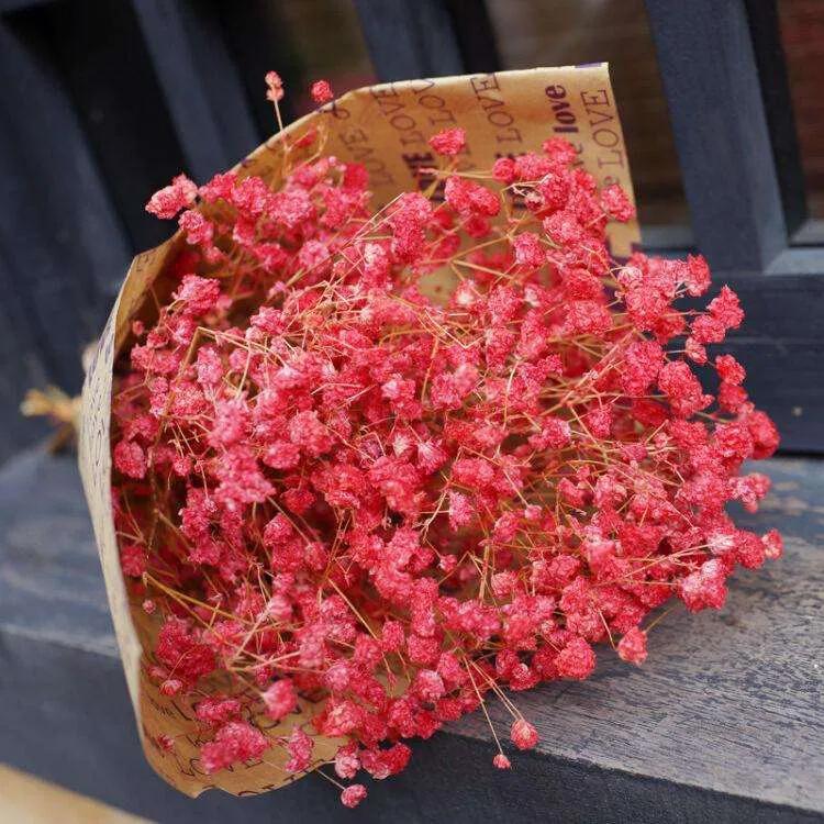 红色满天星:真爱.4.