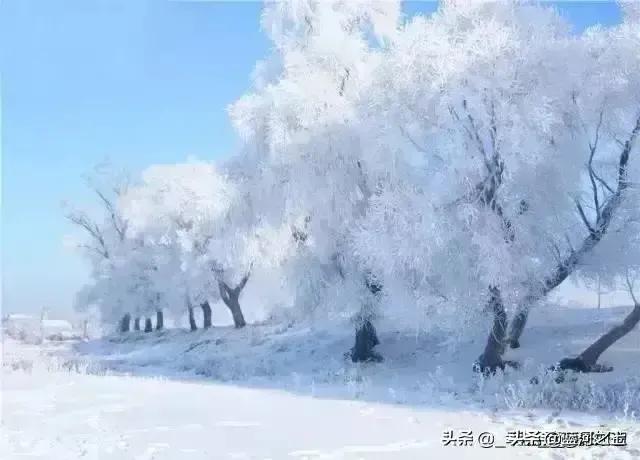 扫雪心心追望客，低头数数近归程