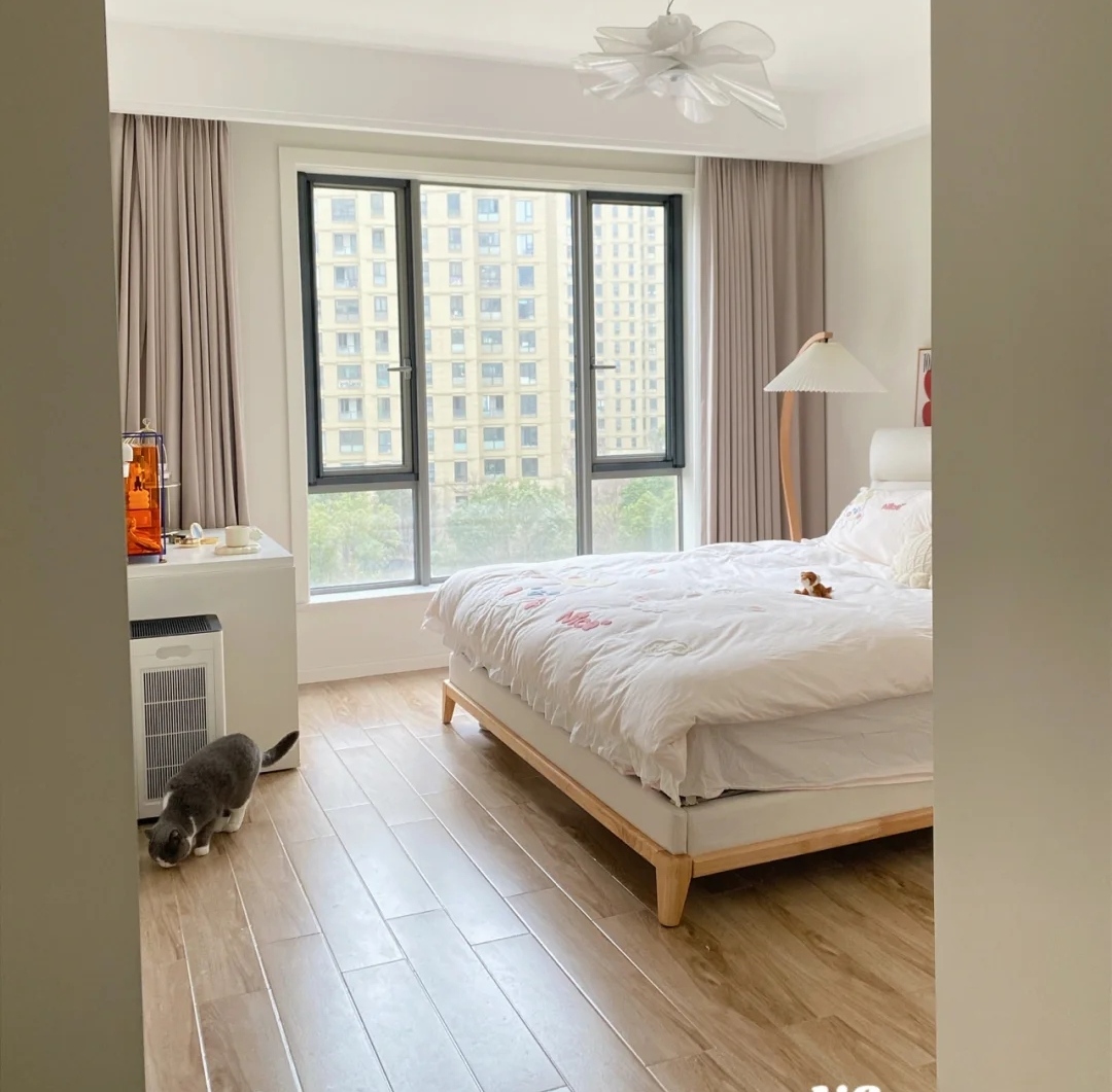 湖州发现一户人家的装修，因太会布置而走红，有娃有猫的理想生活