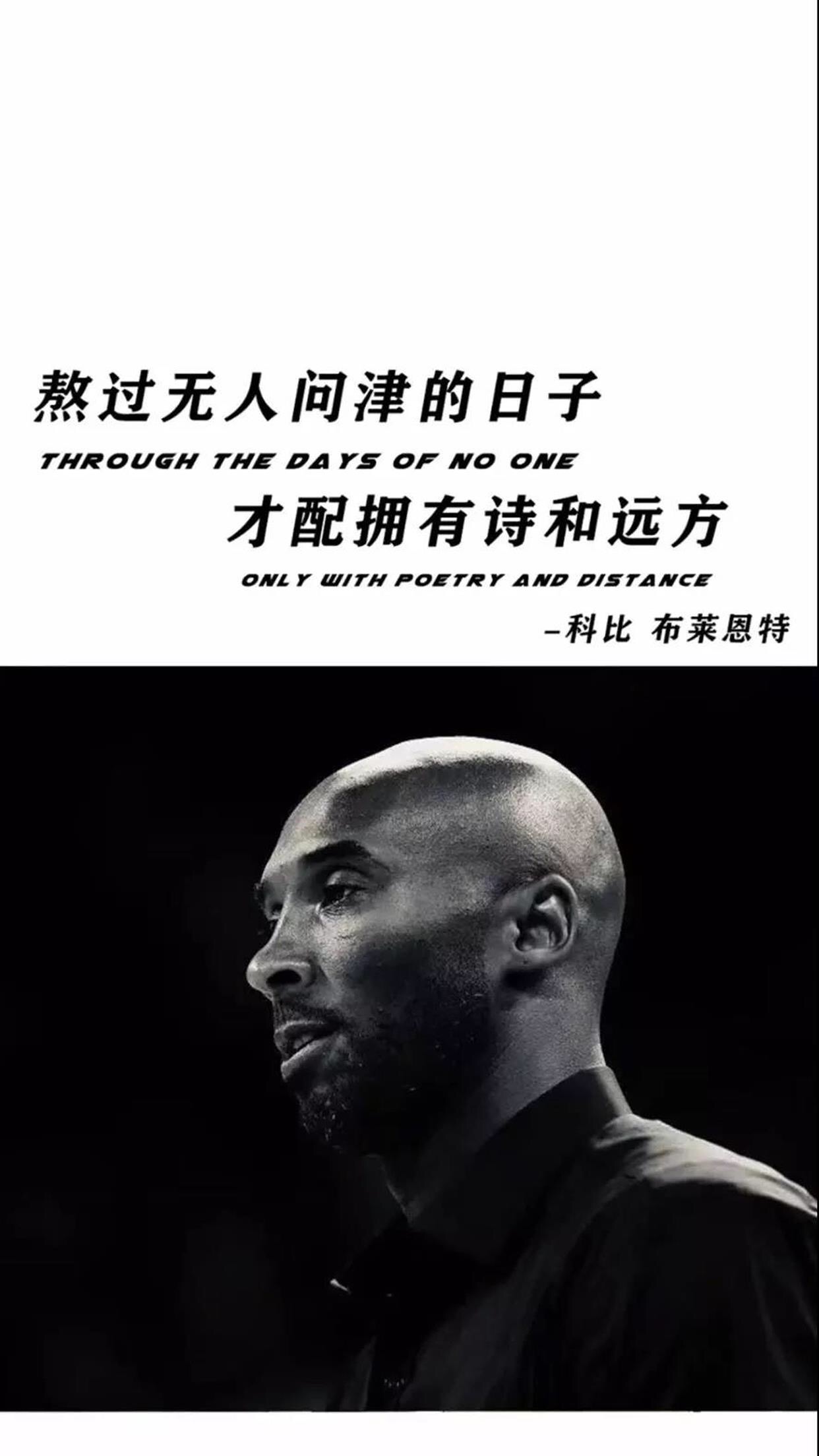 NBA球星合照高清壁纸(高清壁纸：NBA全明星)